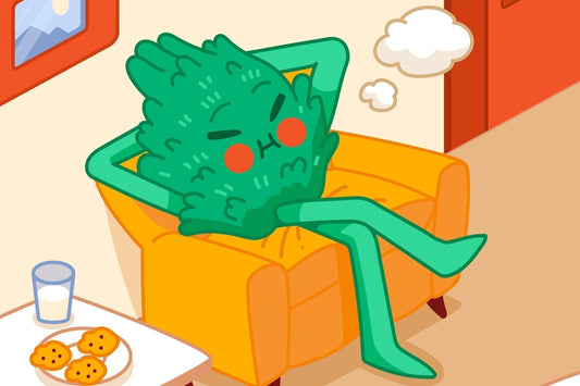 Cannabis, Edibles and Sleep: The Dream Team