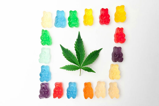Sativa vs. Indica: A quick guide to choosing the best edible for you