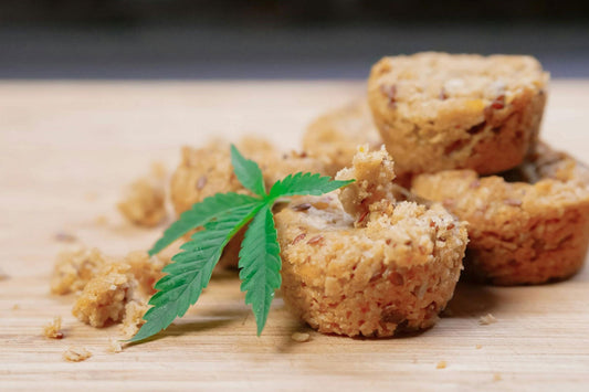 A Quick Guide to Hemp-Infused Edibles